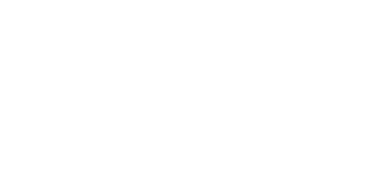 peak surveys logo